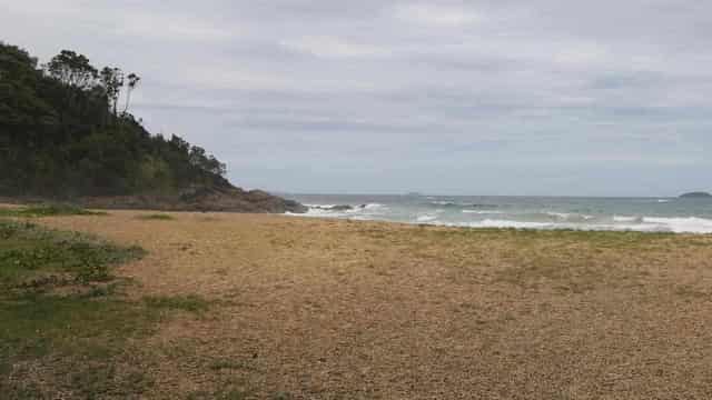 National hunt for identity of woman in beach bones find