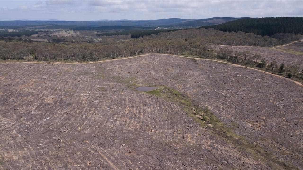 NSW government reveals plans to fix broken nature laws