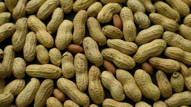 World-first peanut allergy trial seeking participants