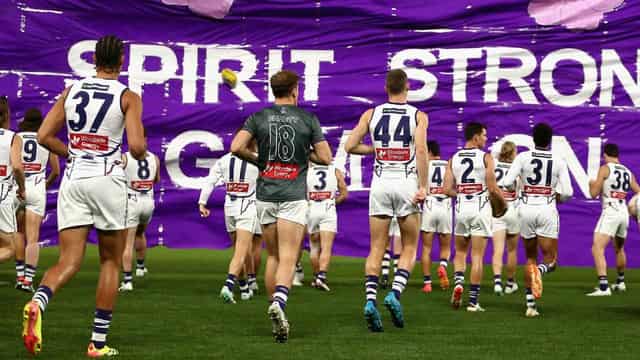 AFL team's crappy flight home after toilet trouble