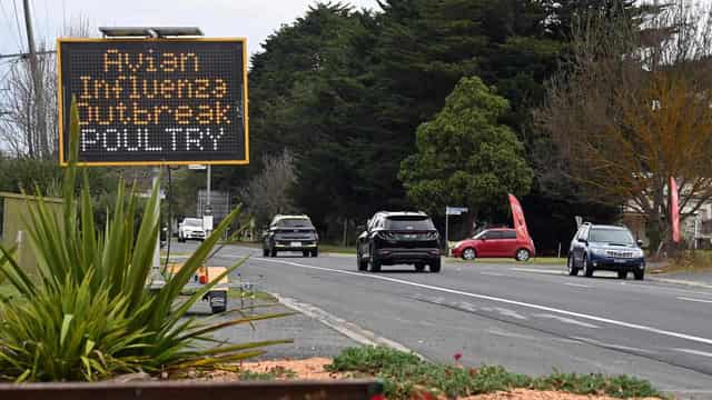 Australia to simulate arrival of deadly bird flu