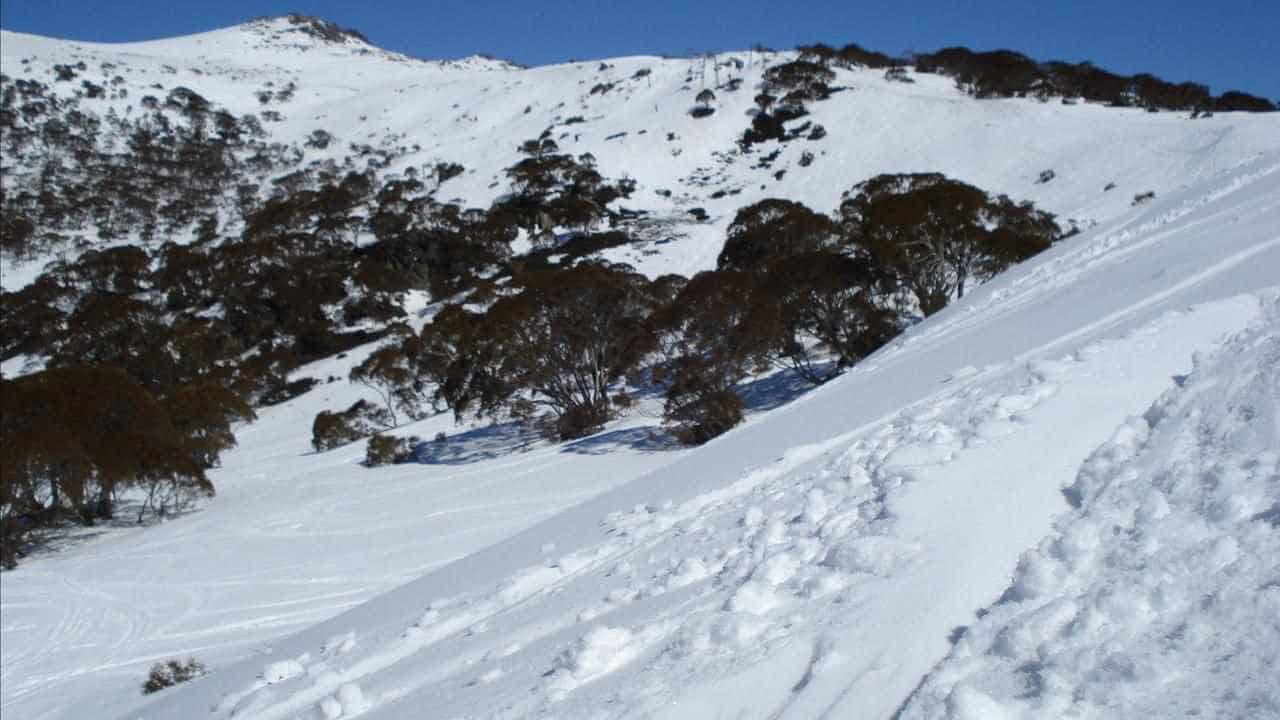 Inquest told of dangers of Kosciusko backcountry skiing