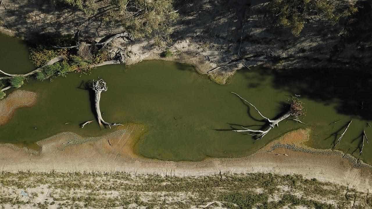 Nature repair cheap at $7.3 billion a year: scientists