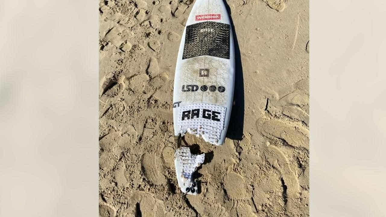 Shark victim's severed leg found before hospital flight