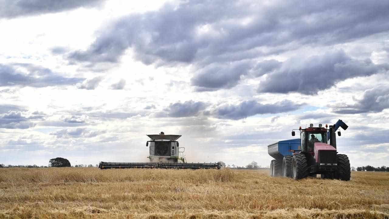 Farmers roundly welcome weedkiller court decision