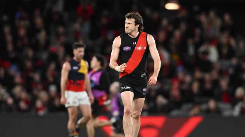 Essendon want response after 'brutal' loss