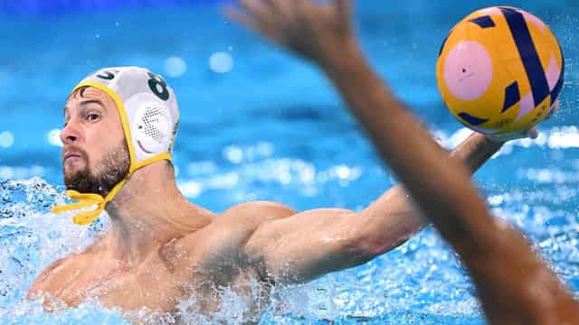 Spain prove too strong for Sharks in men's water polo