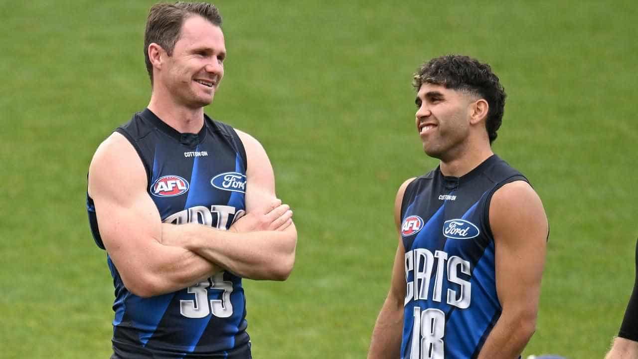 Dangerfield backs Cats teammate Stengle after 'error'