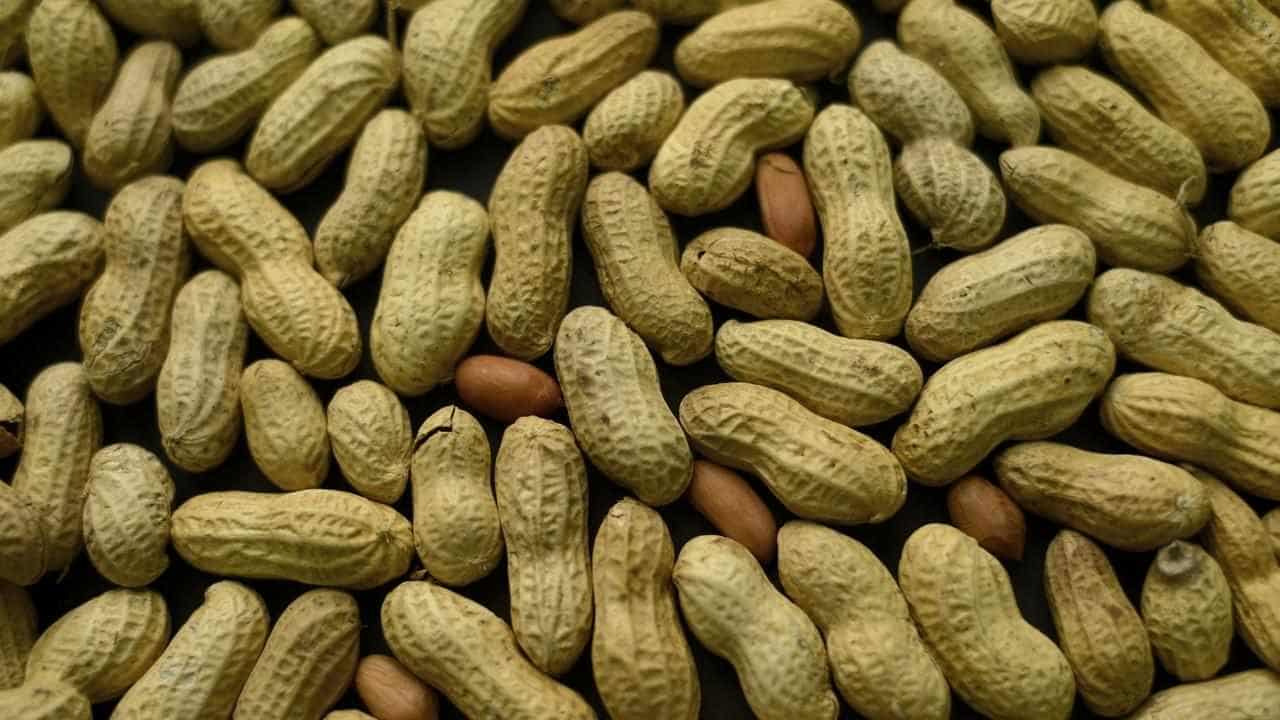 Aussie babies get peanut allergy therapy in world-first