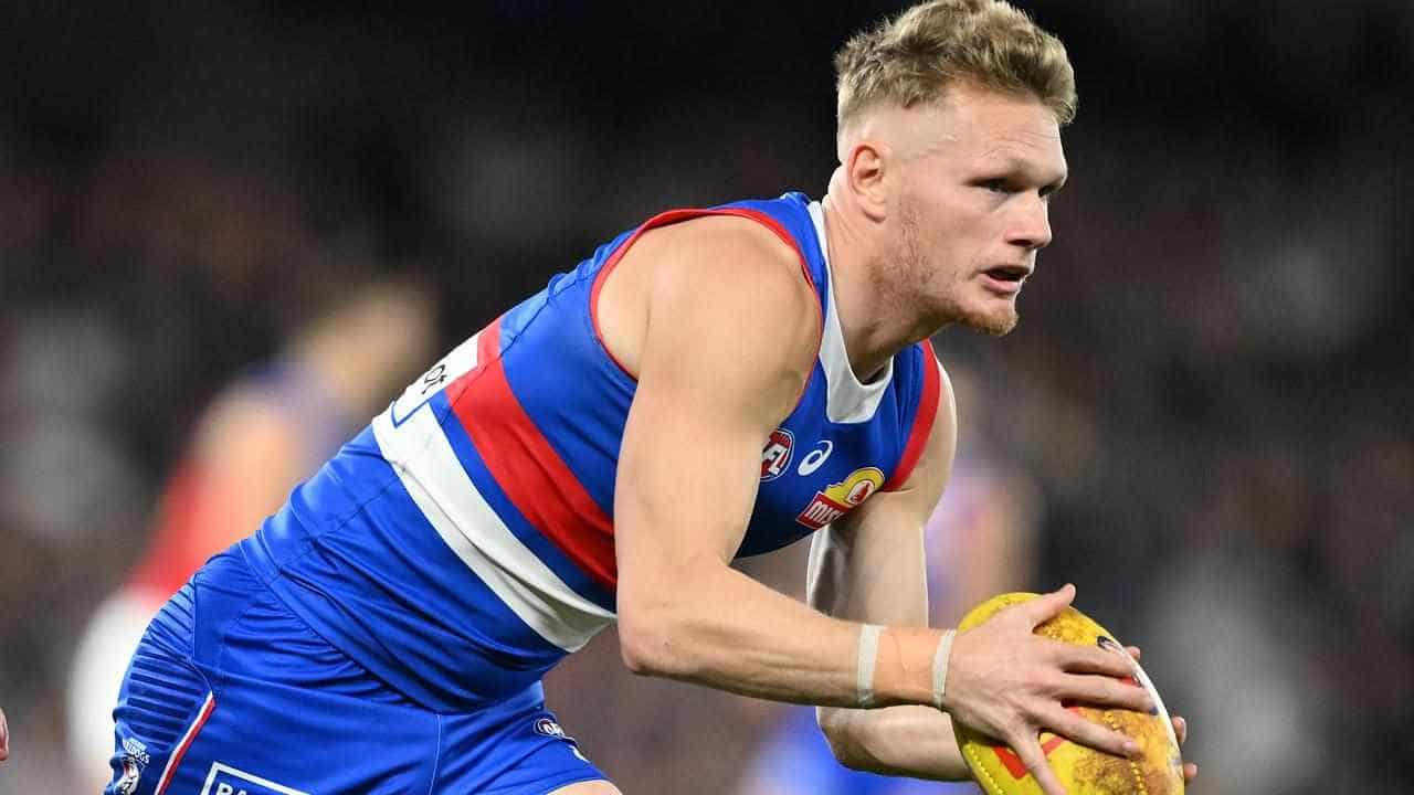 Dogs coach lauds 'rounded' milestone man Adam Treloar