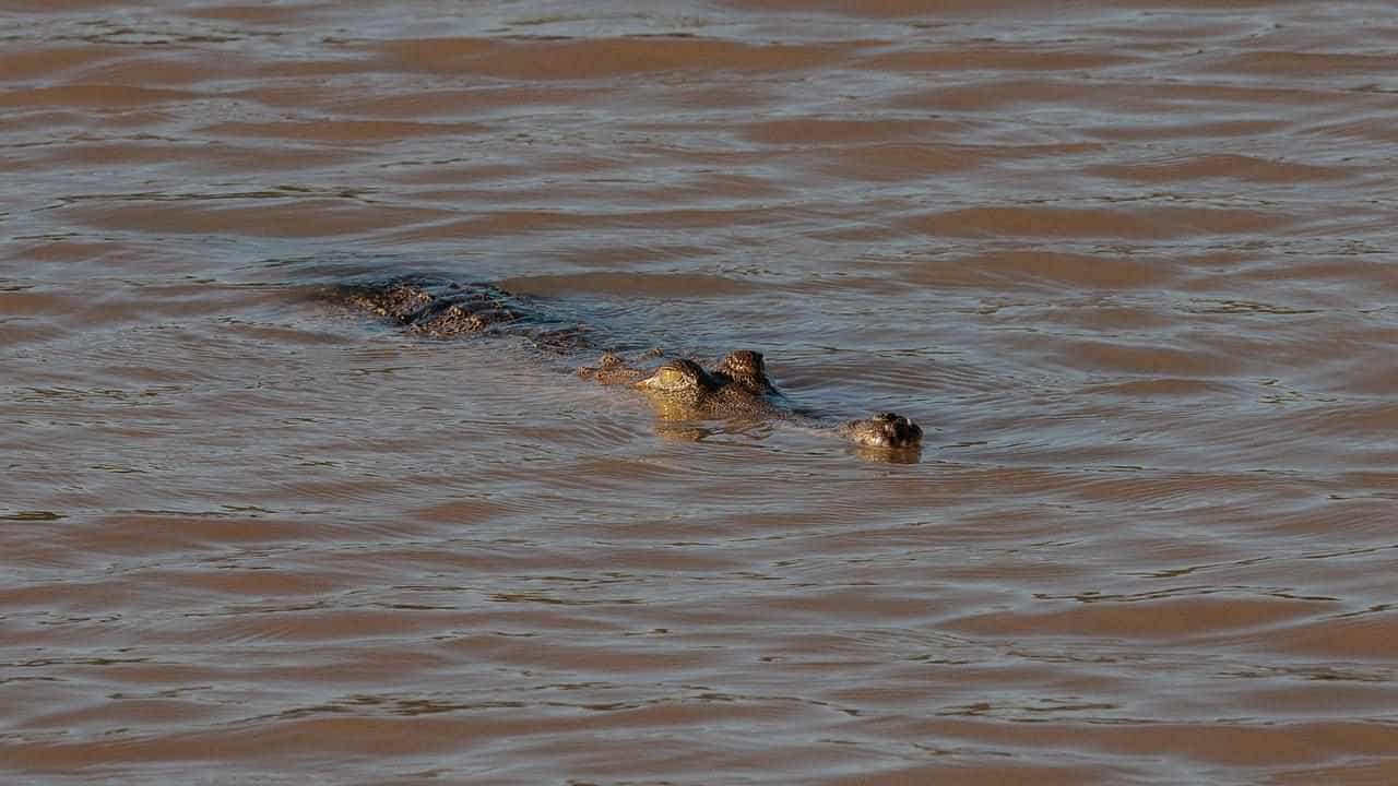 Man remains missing after suspected crocodile attack