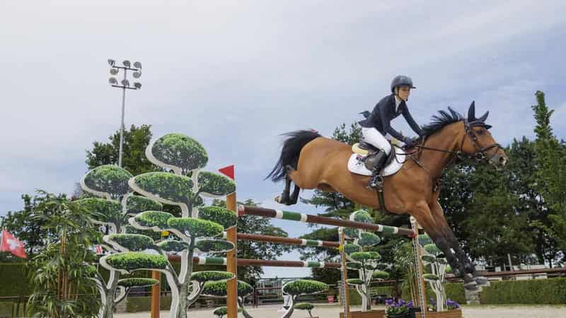 No Versailles showjumping final for Aussie 50-year-old