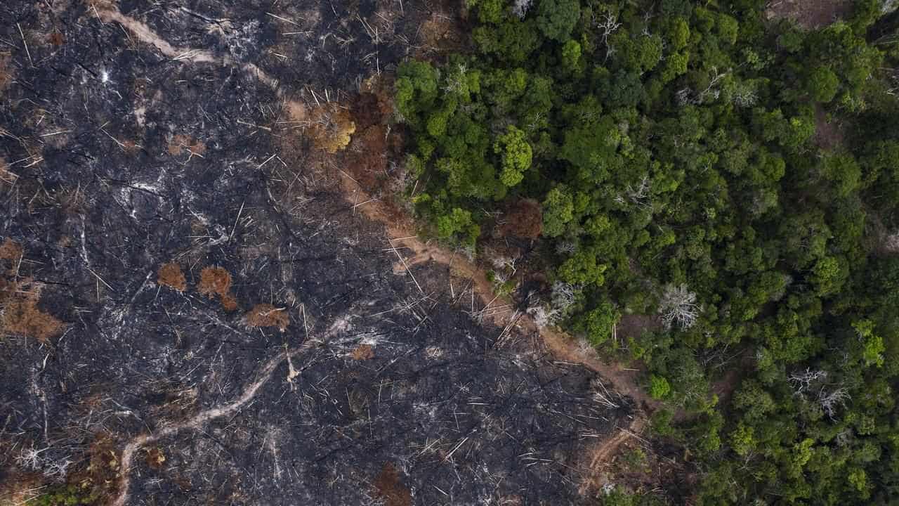 Deforestation harms climate less than other degradation