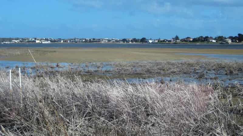 Southern Murray Darling Basin water markets sag $1.9b