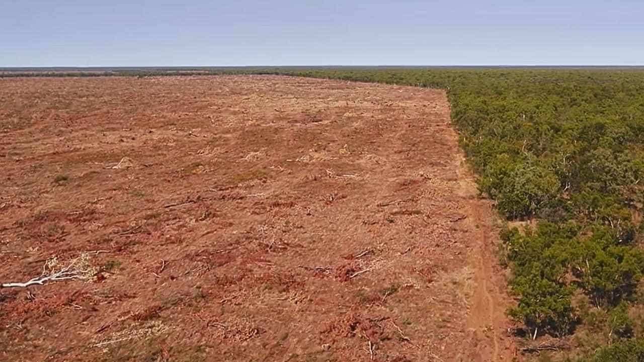 Scientists despair as farmers clear nature hot spot