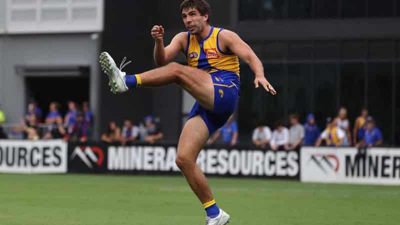 Eagles to give retiring Andrew Gaff two farewell games