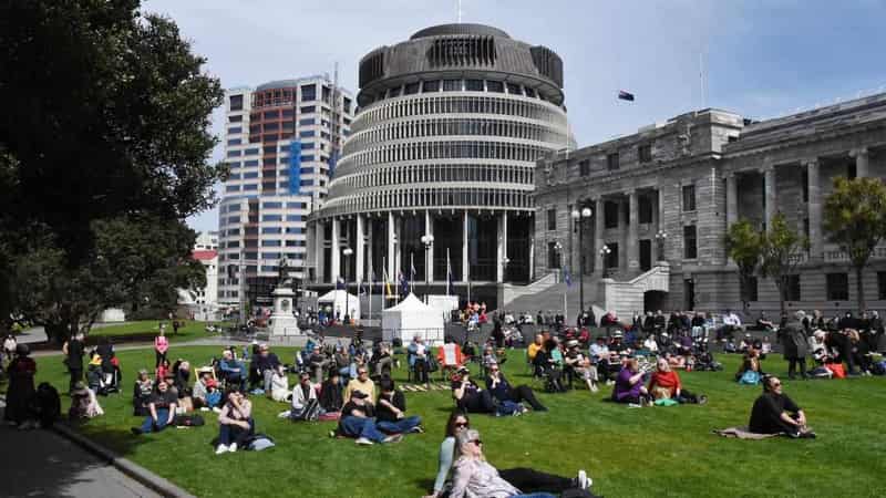 No, declaration doesn't grant Maori veto over NZ laws