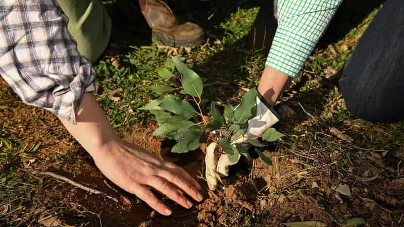 All prams blazing: farmer mums find new joy in landcare