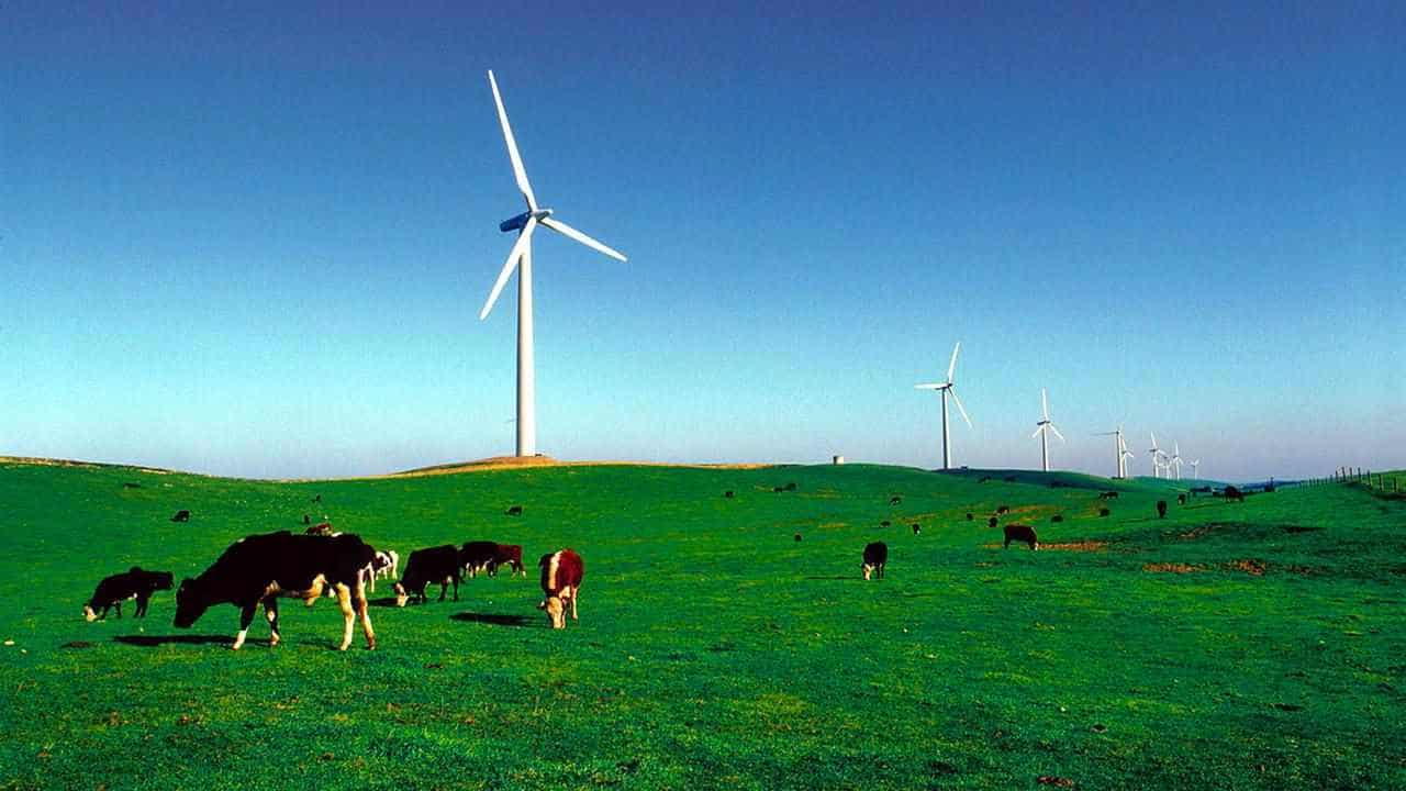 'Clock is ticking': regions need a say in clean energy