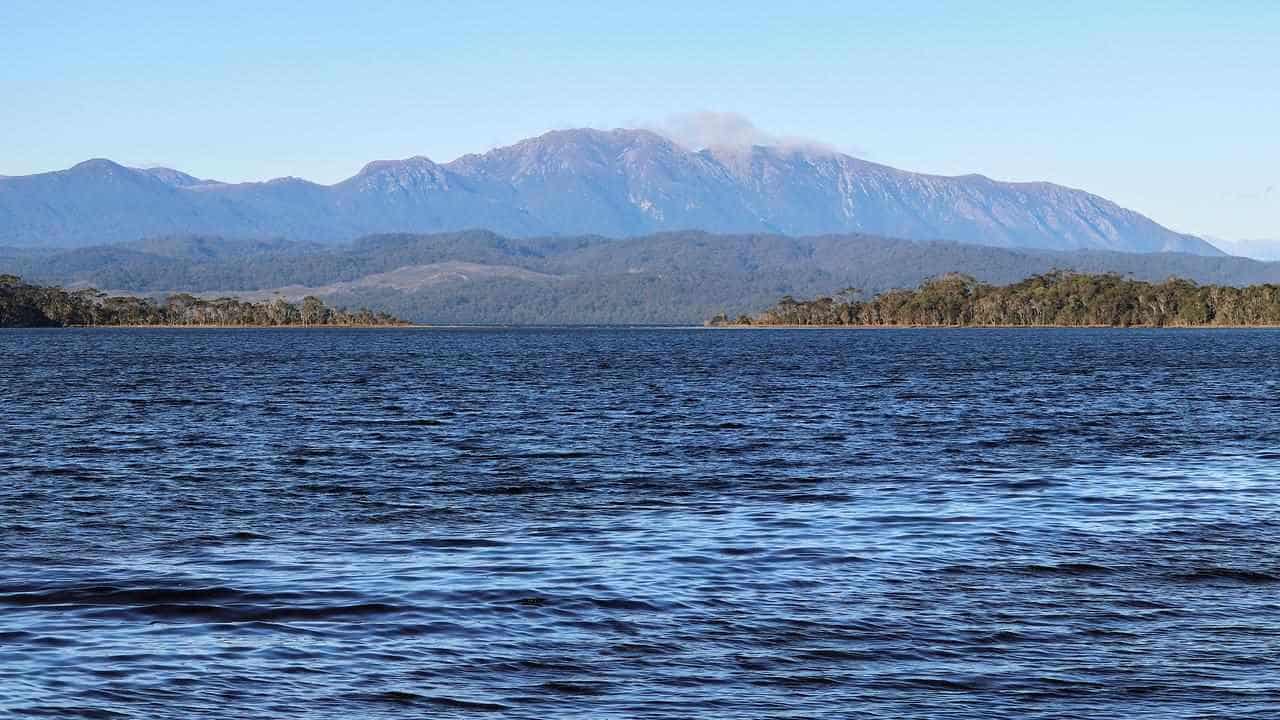 Scale back salmon to save rare fish, scientists say