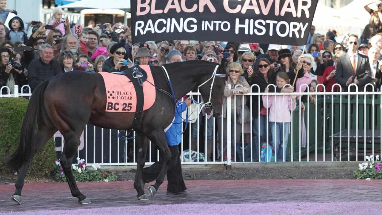 Legendary racehorse Black Caviar dies