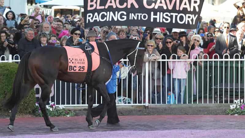 Legendary racehorse Black Caviar dies