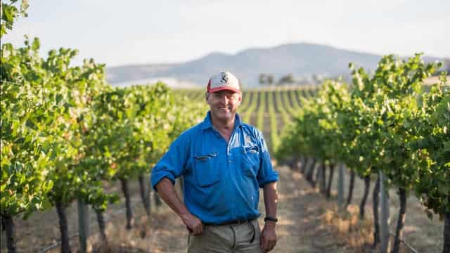 Climate change a 'riesling' to worry Aussie wine-makers