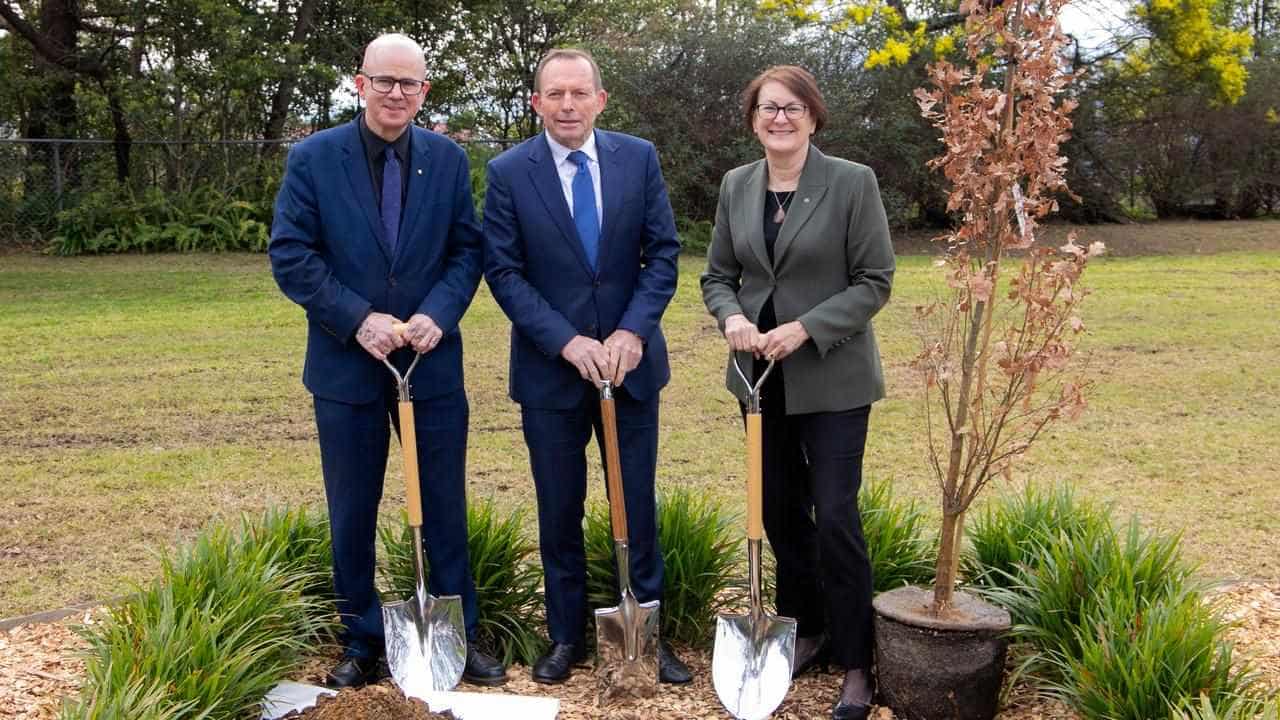 Public memorial tree for ex-PM Abbott felled twice