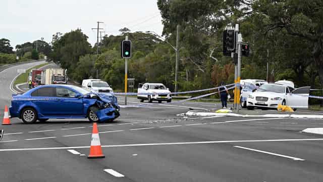 DV link to 'quite frightening' Sydney stabbing rampage