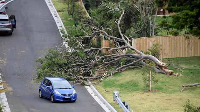 Damage warning for wild weather to lash southern states