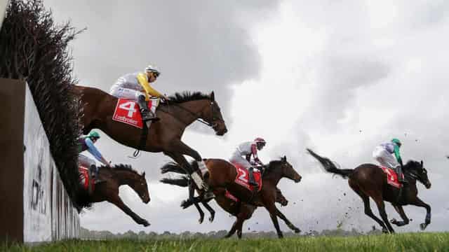 'Get off their high horses': call to end jumps racing