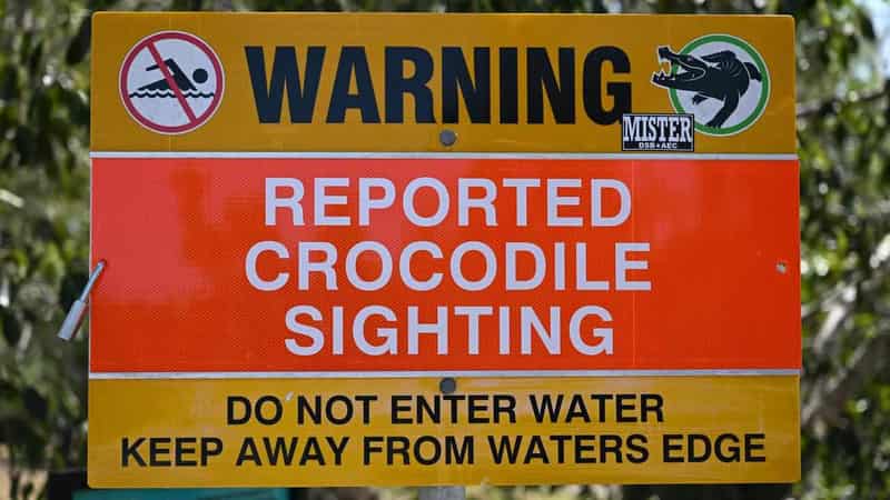 Fines for feeding crocodiles bite harder