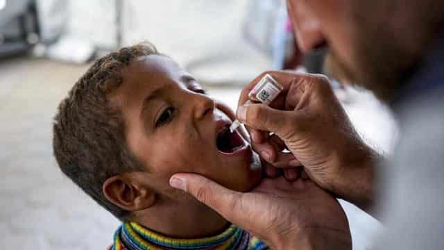 UN hails Gaza polio campaign progress, urges ceasefire