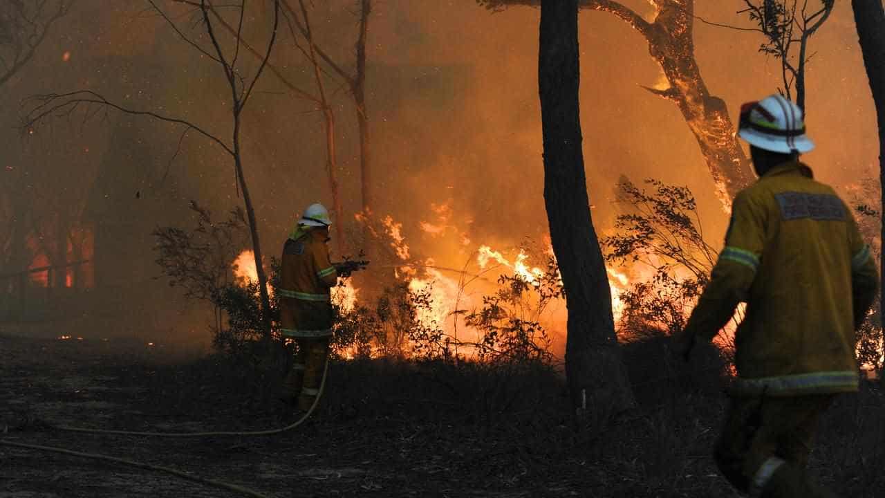 Be prepared: north told to brace for spring bushfires