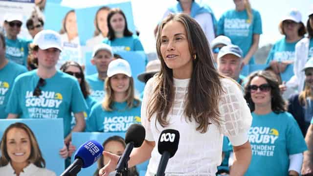 'People want a voice at table': teal aims for Lib seat