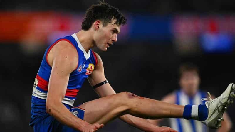 Bulldogs' emerging forwards set to thrive in AFL finals