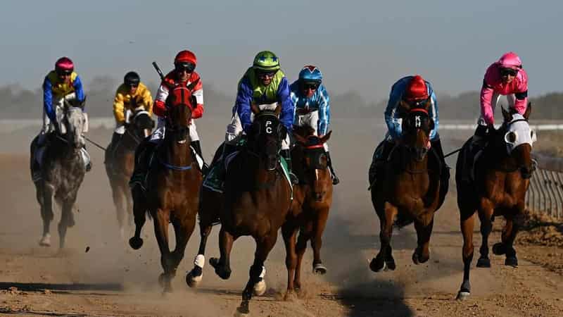 'It's in our blood': the ties that bind in Birdsville