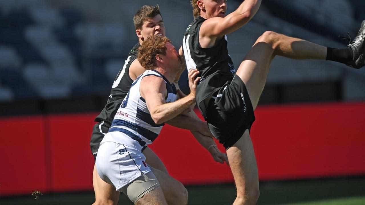 Rohan concussed, Hawkins quiet in Cats' VFL loss