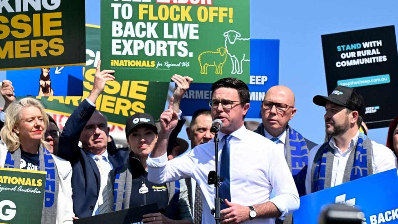 'Flock off': furious farmers fume over sheep export ban