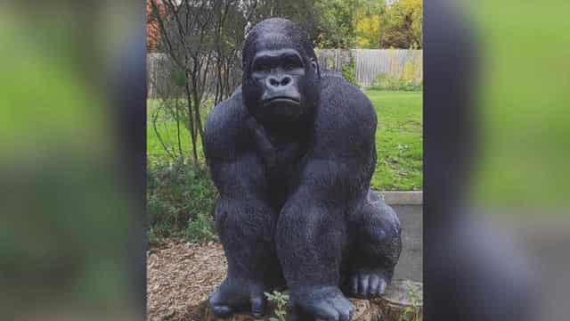 Retirement village gorilla thief gets community service