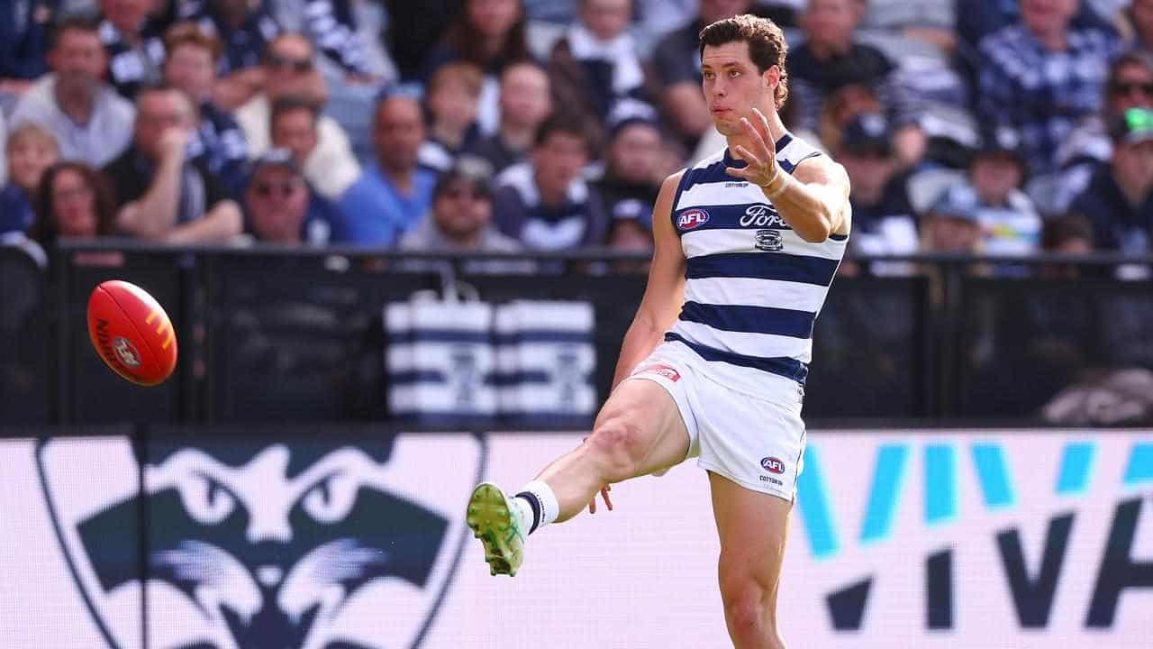 Remodelled Cats AFL attack thriving: Cameron