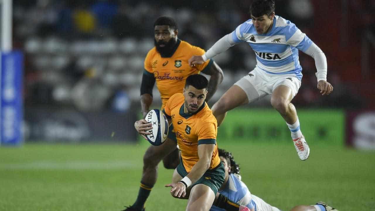 Wallabies bracing for beaten All Blacks Cup response