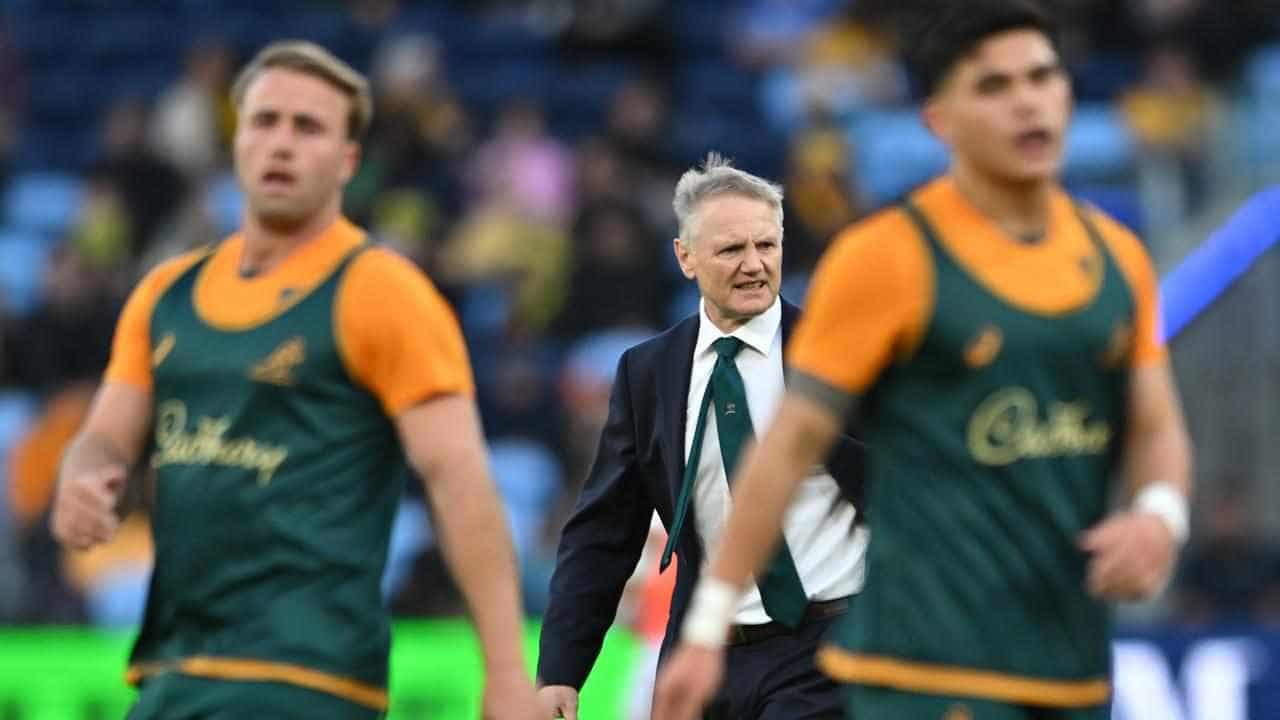 Inside knowledge goes both ways, says Wallaby Schmidt