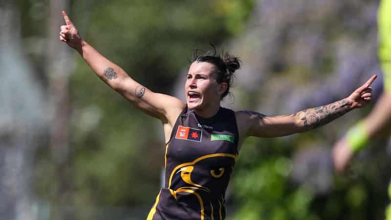 Hawthorn defender cops three-game AFLW ban for bump