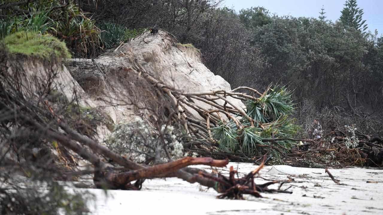 Thousands of homes in blackout after destructive winds