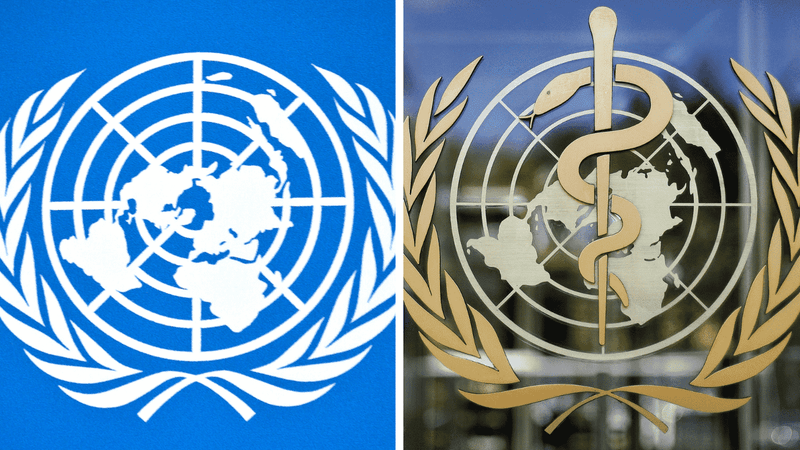 No, UN Pact for the Future is not WHO pandemic treaty in disguise