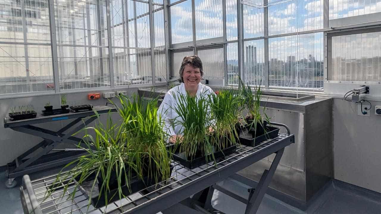 'Game changer': facility sheds light on plants' future