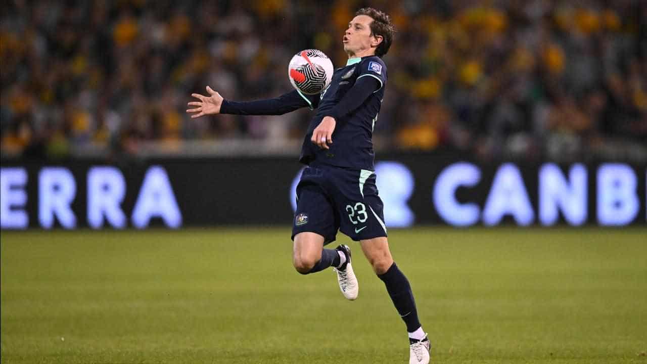 Socceroos coach change can unnerve players: Goodwin