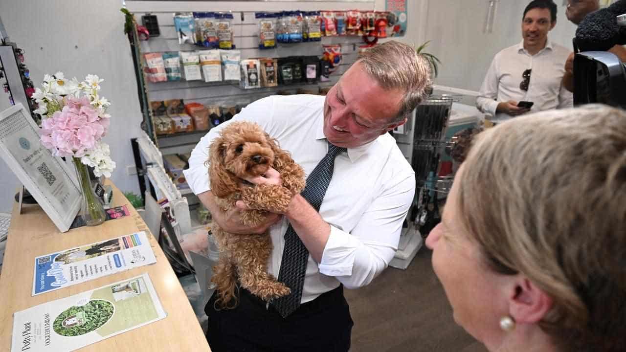 Dodgy tweets and shirt dog Labor on Qld campaign trail