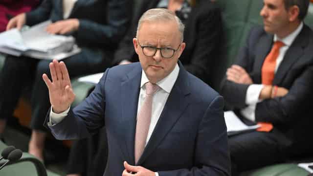 Albanese apology for 'insensitive' Tourette's comment